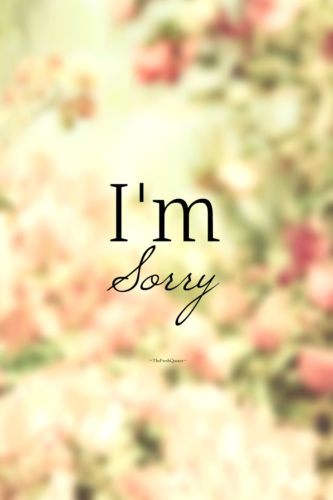 im sorry sayings
