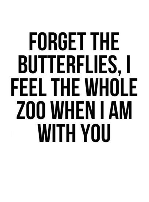 Forget the butterflies quote