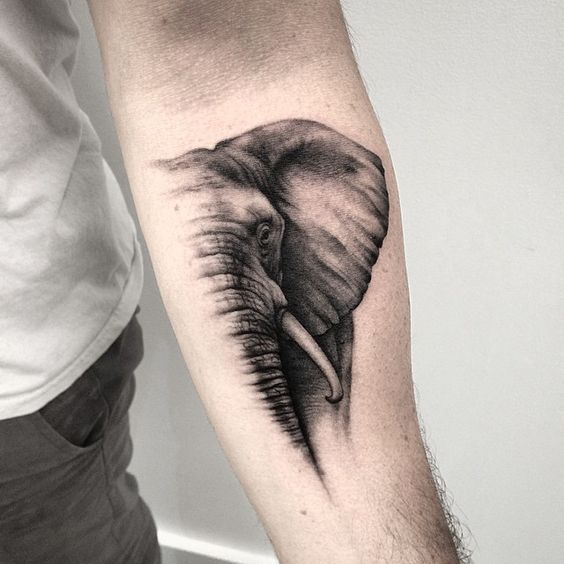 Realistic Half Elephant Tattoo Design