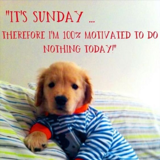 Sunday Motivation Quotes