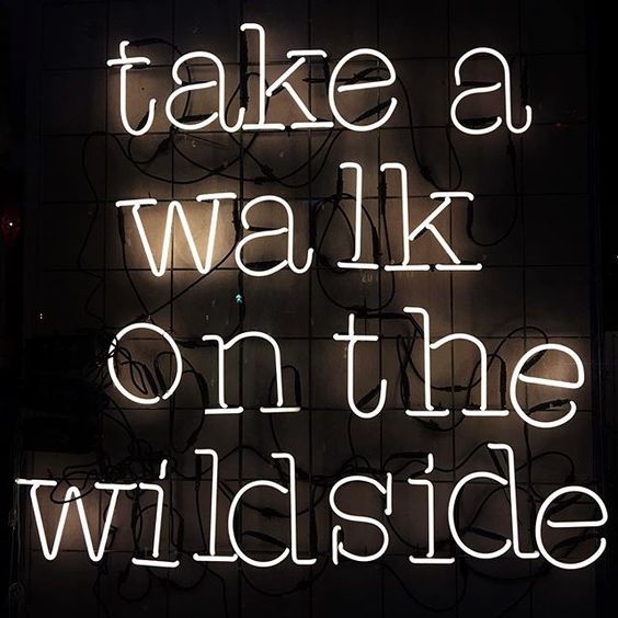 Wildside Party Quotes
