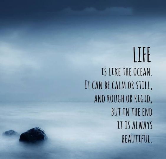Ocean Life Quotes
