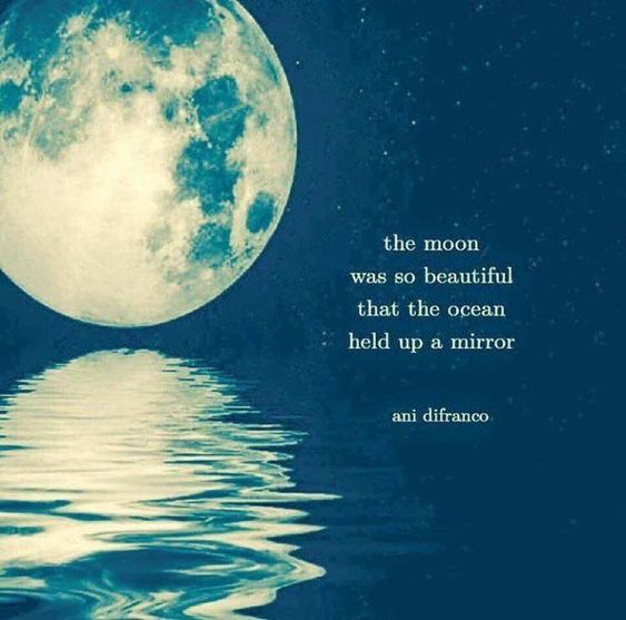 Ocean Moon Quotes