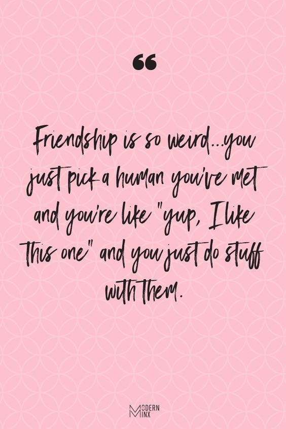 Weird Funny Friendship Quotes