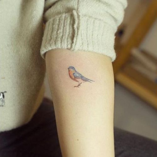 Robin Bird Tattoos