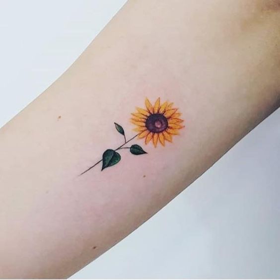 bright sunflower