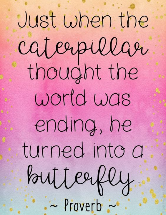 butterfly inspirational graduation quote