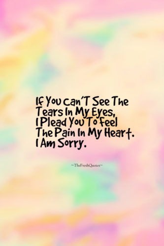 50 I'm Sorry Quotes | Sorry Quotes For Him And Her