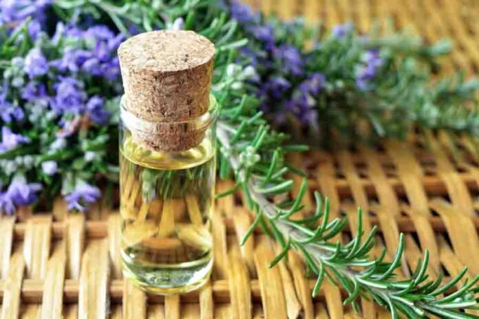 rosemary oil for acne