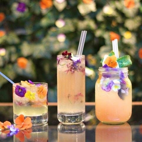 Girly Drinks Featured Image