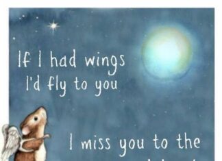miss you to the moon quotes