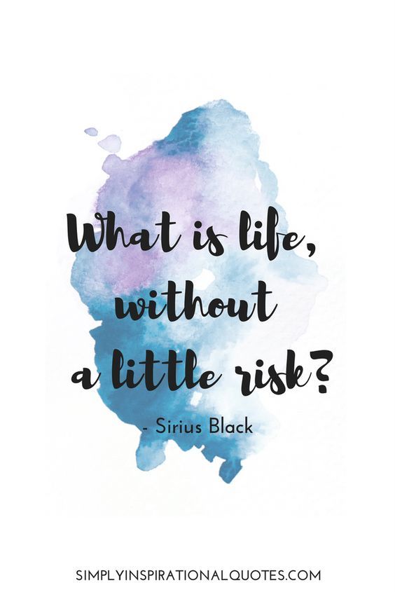 A Little Risk quotes