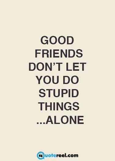 Stupid Funny Friendship Quotes
