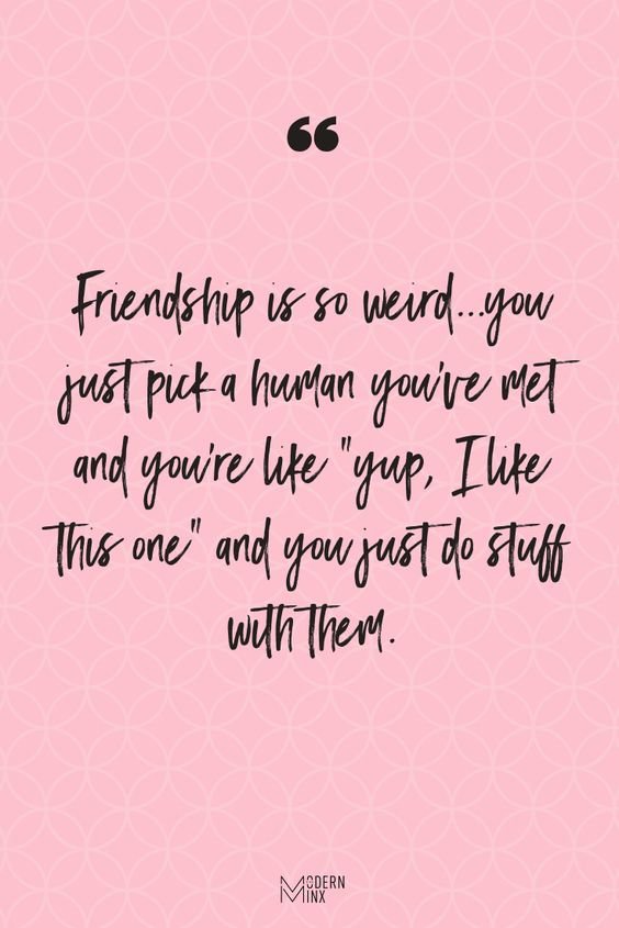 short-funny-friendship-quotes-and-sayings