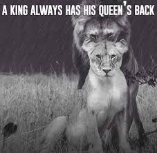 Animal-King-and-Queen-Quotes