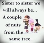 Nutty-Sister-Quotes