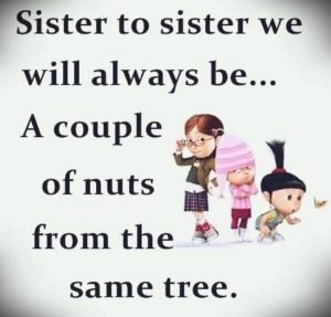 Nutty-Sister-Quotes