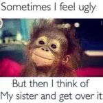 Ugly-Sister-Memes