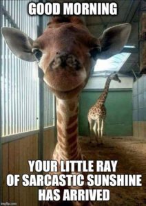 funny giraffe quote
