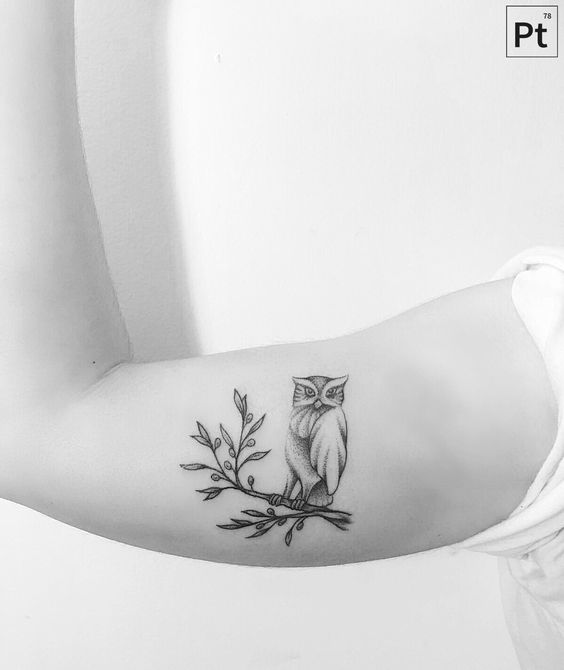 arm-branch-owl-tattoo | girlterestmag