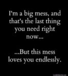 mess forgive me quote